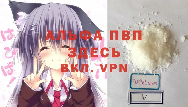 герыч Новозыбков